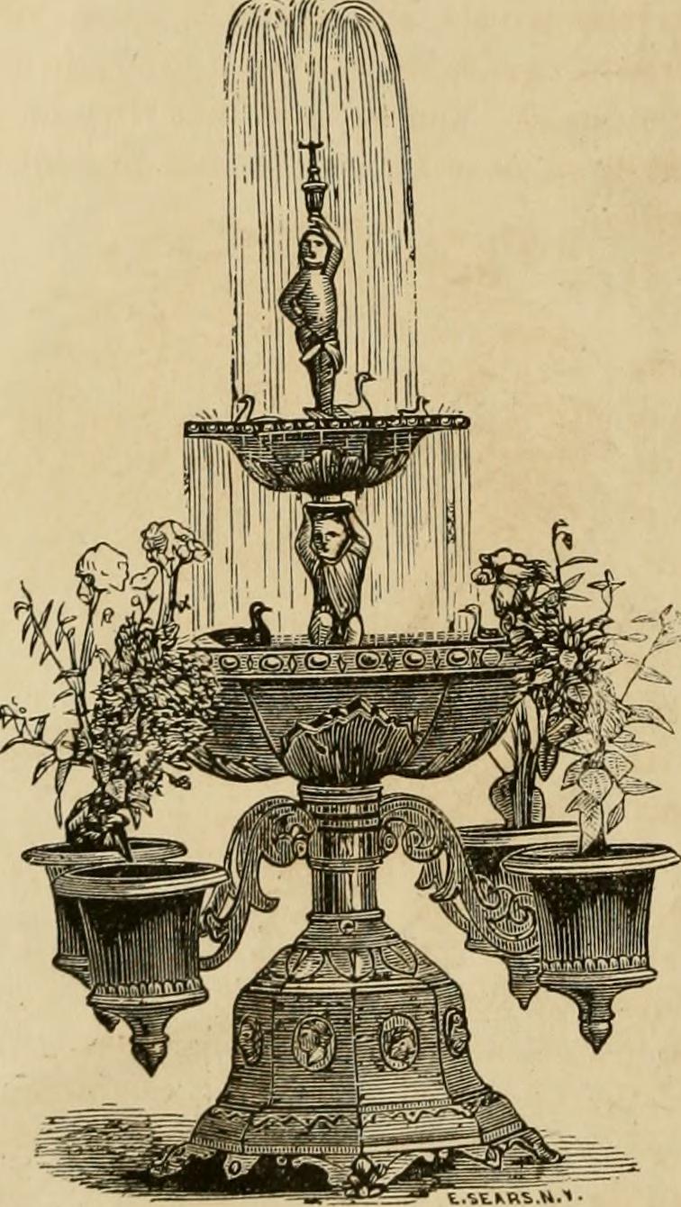 Ilustración vintage de jardinería de interior y cuidado de plantas decorativas